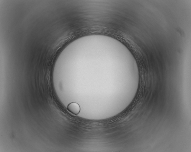 X0000112050696200908040950