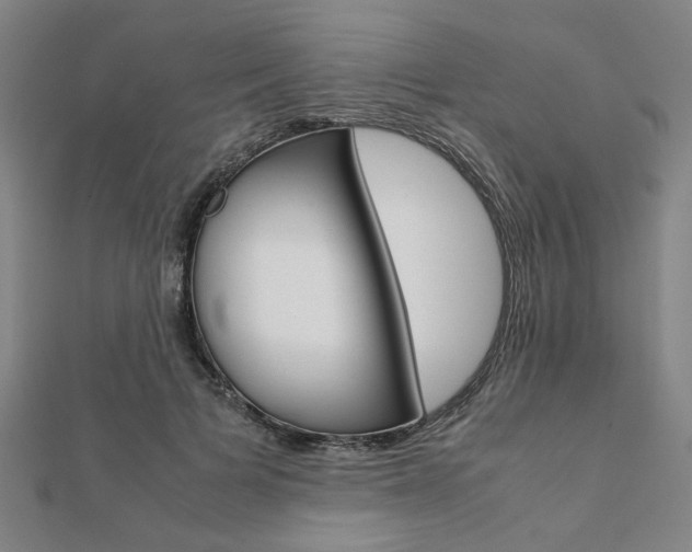X0000112050697200908040950
