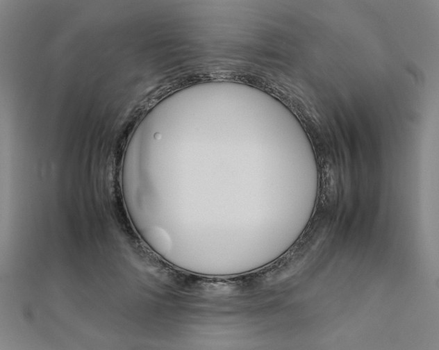 X0000112050698200908040950