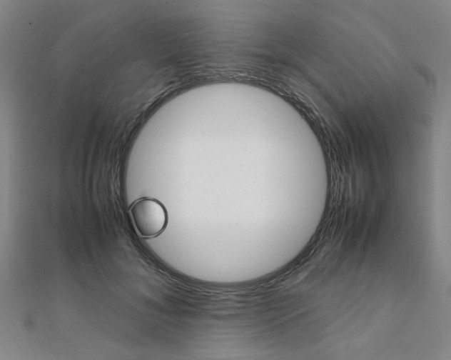 X0000112050700200908040950