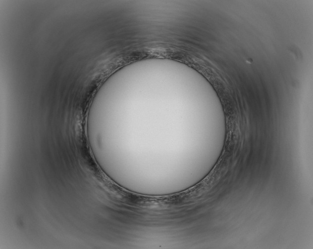 X0000112050702200908040950