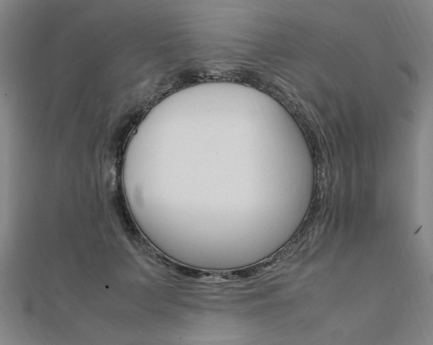 X0000112050703200908040950