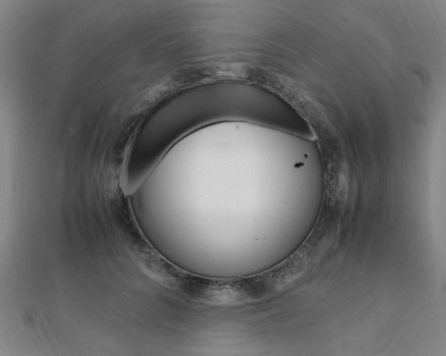 X0000112050704200908040950