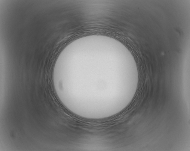X0000112050705200908040950