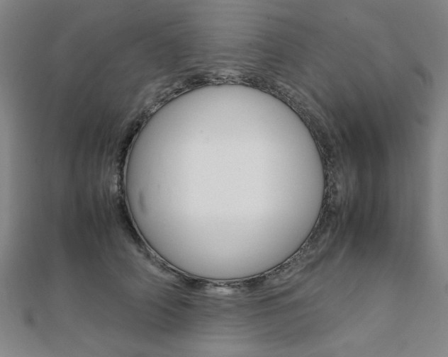 X0000112050706200908040950
