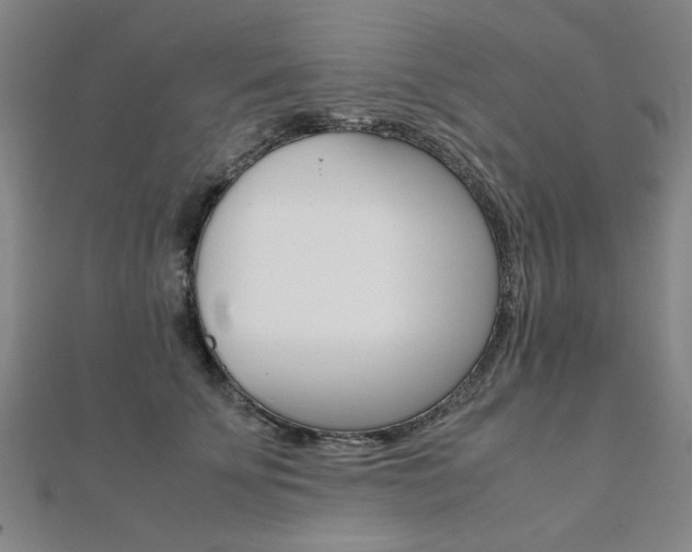 X0000112050707200908040950