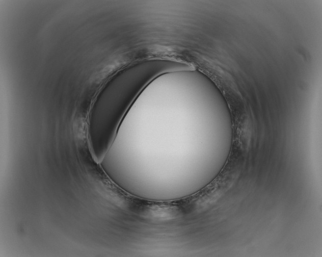 X0000112050708200908040950