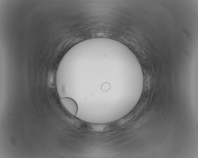 X0000112050709200908040950