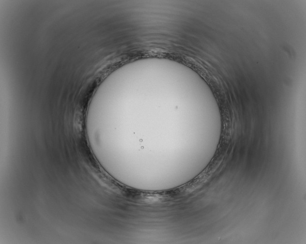 X0000112050710200908040950