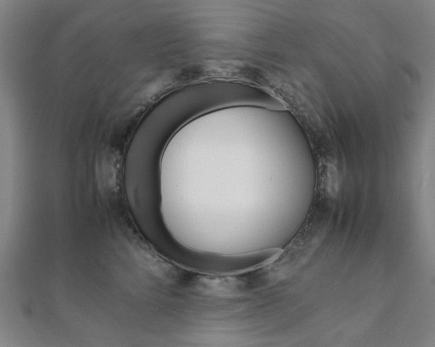 X0000112050712200908040950