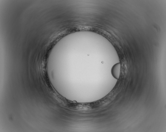 X0000112050714200908040950