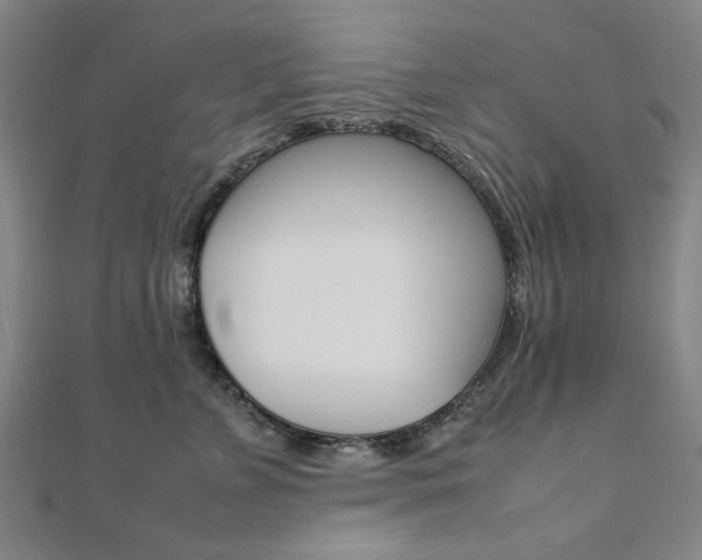 X0000112050715200908040950