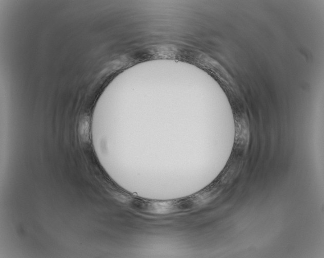 X0000112050717200908040950