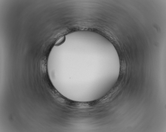 X0000112050719200908040950