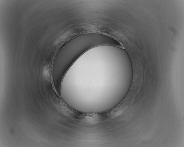 X0000112050720200908040950