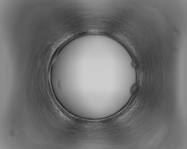 X0000112050721200908040949