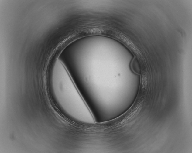 X0000112050722200908040949