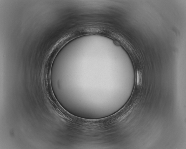 X0000112050723200908040949