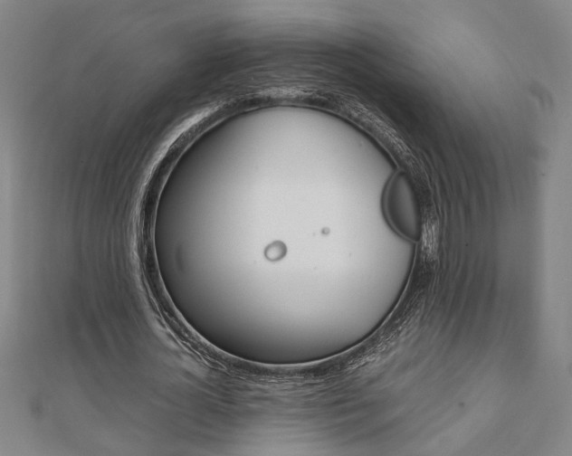 X0000112050724200908040949