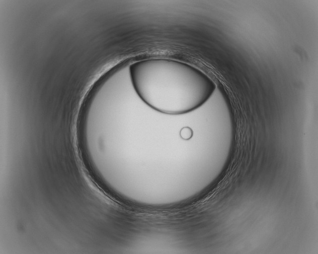 X0000112050726200908040949