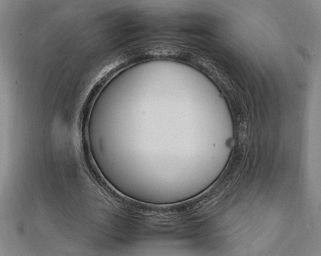 X0000112050727200908040949