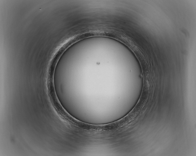X0000112050728200908040949