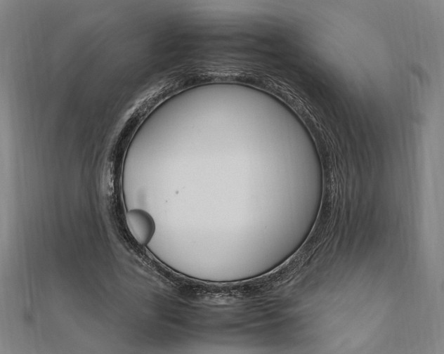 X0000112050731200908040949