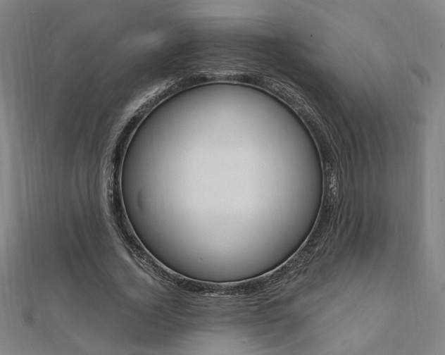 X0000112050732200908040949
