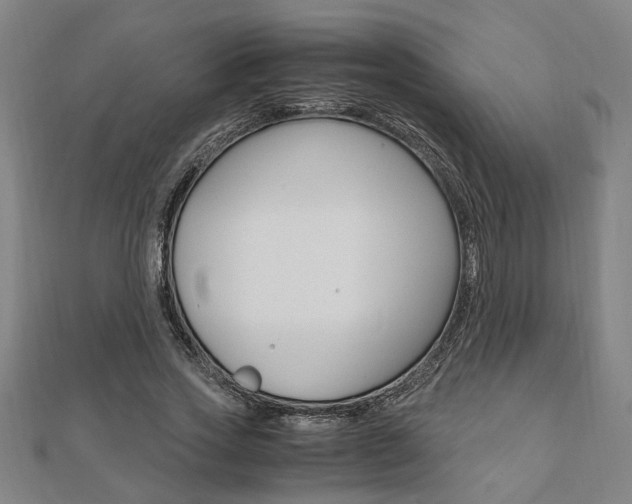 X0000112050733200908040949