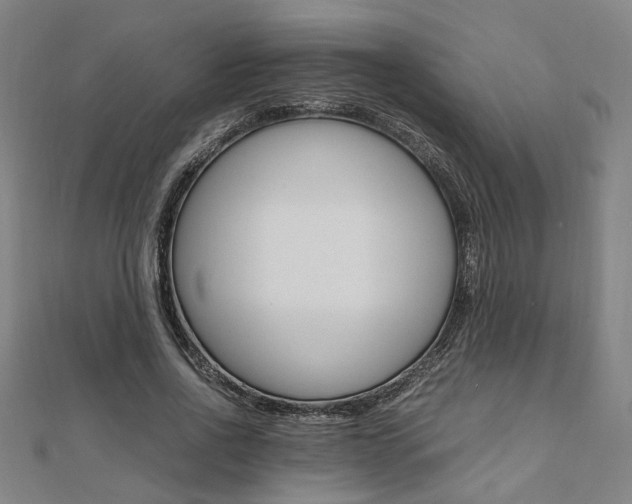 X0000112050734200908040949