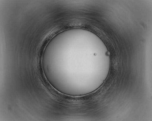 X0000112050735200908040949