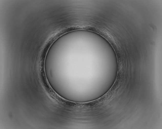 X0000112050736200908040949