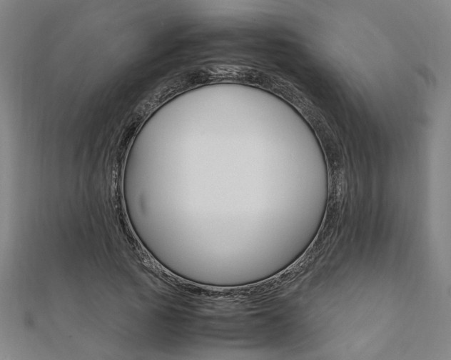 X0000112050737200908040949