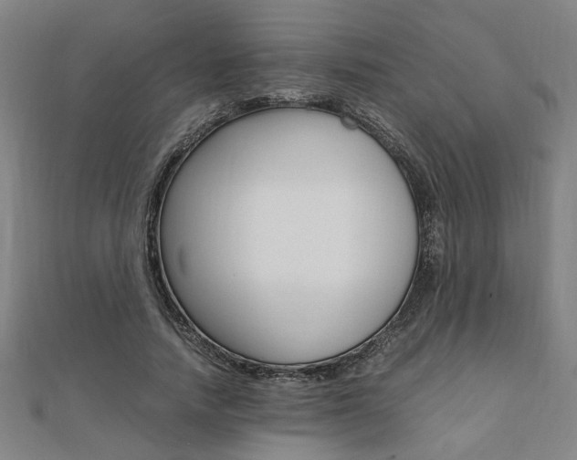 X0000112050738200908040949