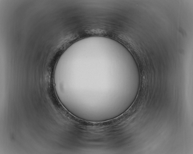 X0000112050739200908040949