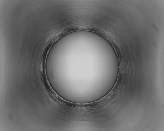 X0000112050740200908040949