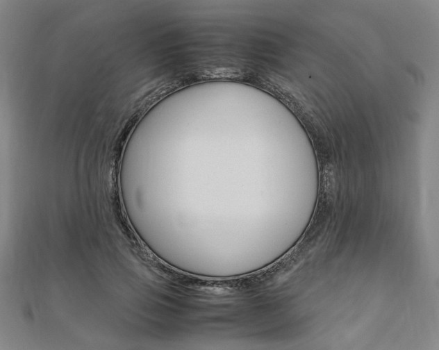 X0000112050741200908040949