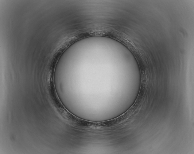 X0000112050742200908040949