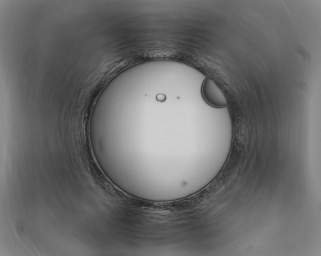 X0000112050743200908040949