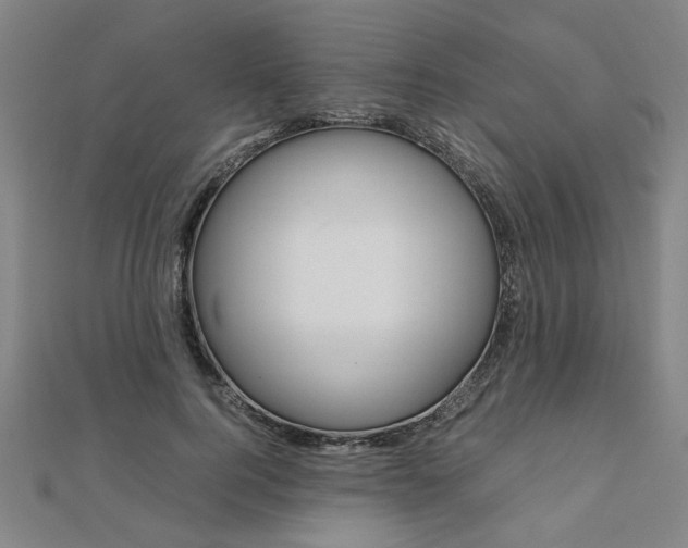 X0000112050744200908040949