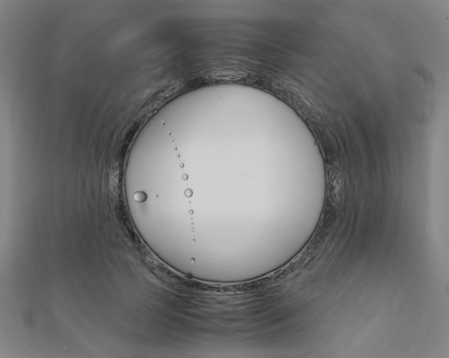 X0000112050745200908040949