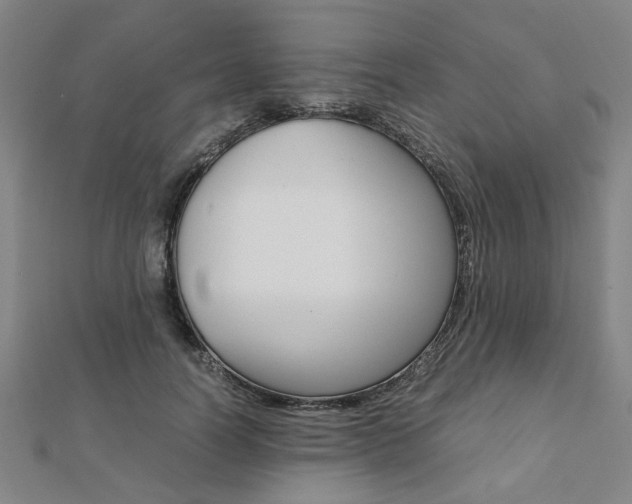 X0000112050746200908040949