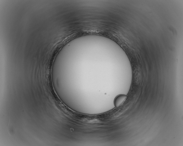 X0000112050747200908040949