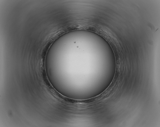 X0000112050748200908040949