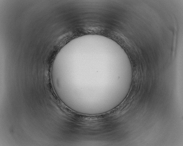 X0000112050749200908040949