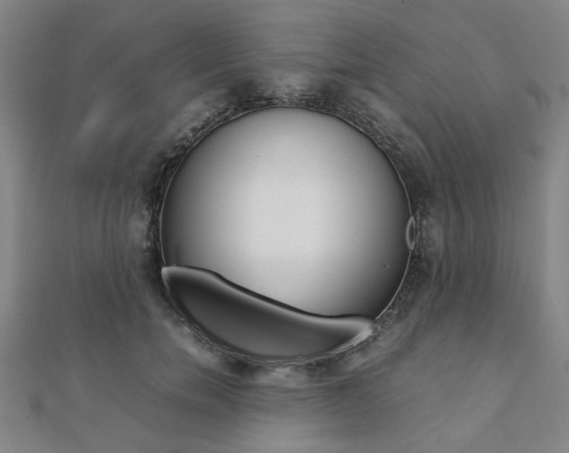 X0000112050750200908040949