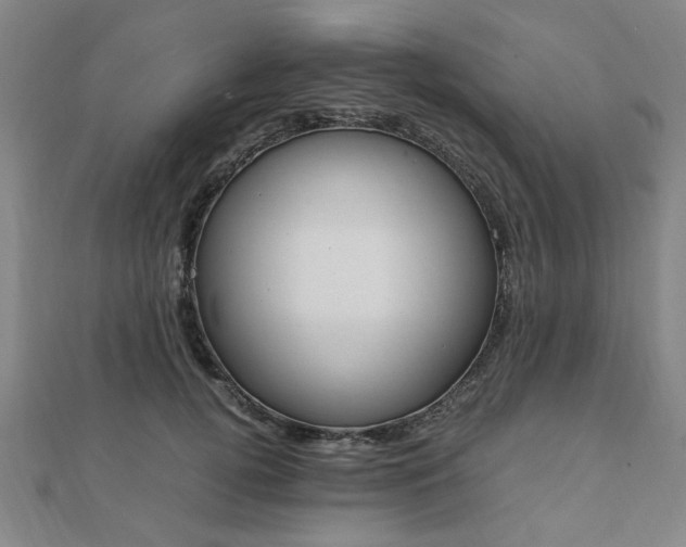 X0000112050752200908040949