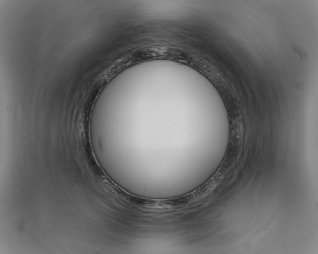 X0000112050754200908040949