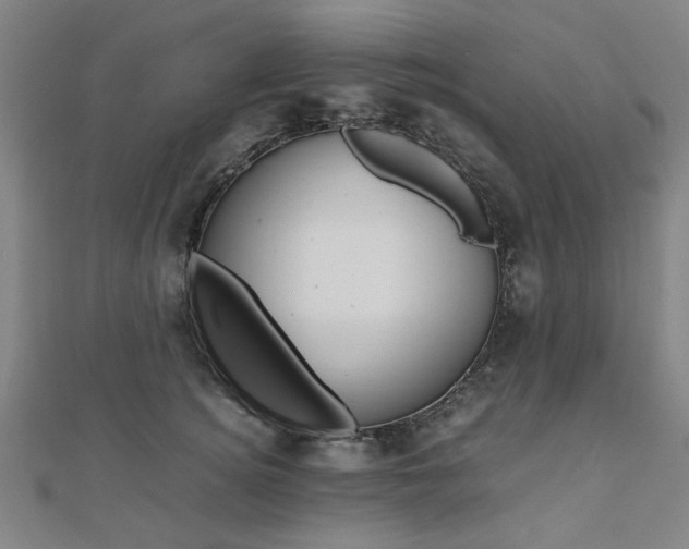 X0000112050756200908040949