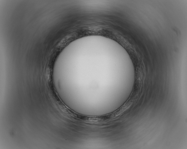 X0000112050758200908040949